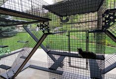 a cat is sitting in a cage on the ground next to some stairs that are made out of metal wire