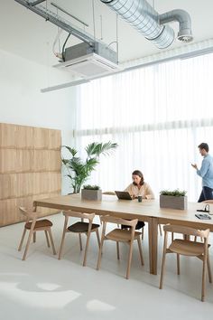 two people sitting at a wooden table in an office with plants and laptops on it