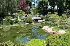 a bridge over a small pond in a garden