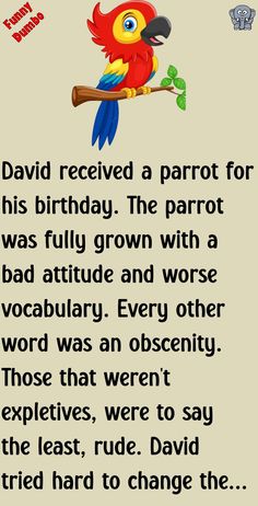 a parrot sitting on top of a tree branch with the words david received a parrot for his birthday