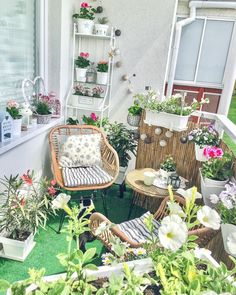 an outdoor patio with potted plants and wicker chairs on the grass, next to a window