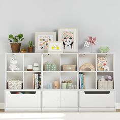 a white bookcase filled with lots of books next to a potted plant on top of a hard wood floor