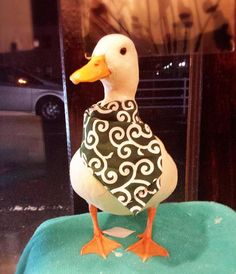 a duck is sitting on top of a green chair with a black and white shirt