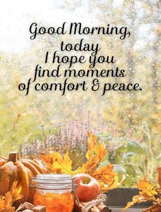 an autumn scene with pumpkins and leaves on the window sill, text reads good morning today i hope you find moments of comfort & peace