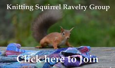 a squirrel sitting on top of a blanket with the caption knitting squirrel ravely group click here to join