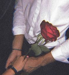 a person holding a rose in their hands