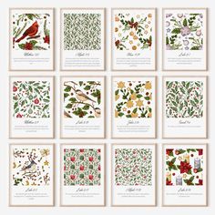 twelve christmas cards with birds, flowers and holly branches in various colors on white background