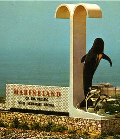 a statue of a penguin on top of a sign with the ocean in the background