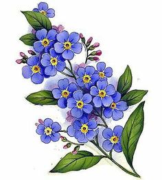 blue flowers with green leaves are shown in this watercolor painting on white paper,