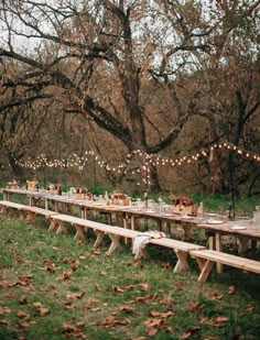 a long table set up in the middle of a field with lights strung from it