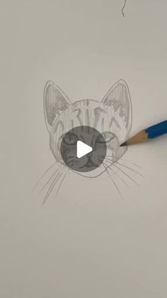 a drawing of a cat's face with a pencil