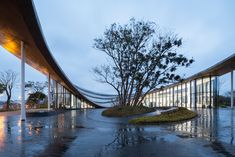 an empty walkway in front of a building with trees on the other side and rain coming down