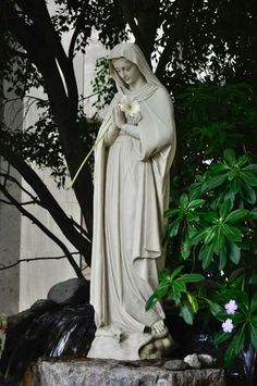 a statue of the virgin mary holding a flower