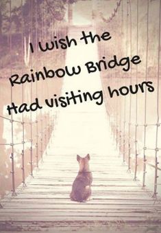 Pet Quotes Dog, Pet Bereavement, Pet Remembrance