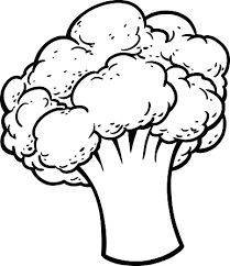 a black and white drawing of broccoli