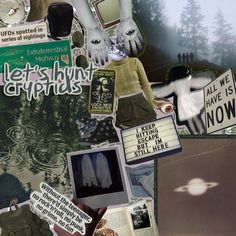 collage of various items and pictures with trees in the background, including clothing, hats, signs, and other things