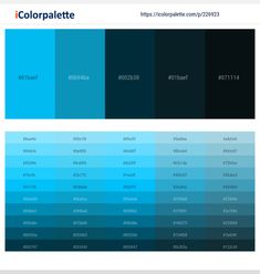 the color palette is shown in blue and black, with different shades to choose from