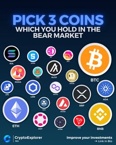 the back cover of pick 3 coins which you hold in the bear market, including bitcoin