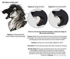 an animal's teeth and mouth are shown in this diagram, which shows the different stages