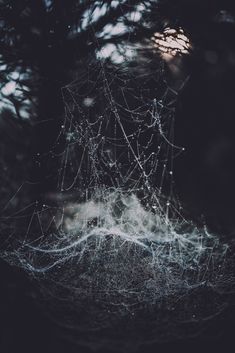 spider web in the dark with water droplets on it's back end and bottom