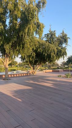 there is a large tree in the middle of an empty park with benches on it