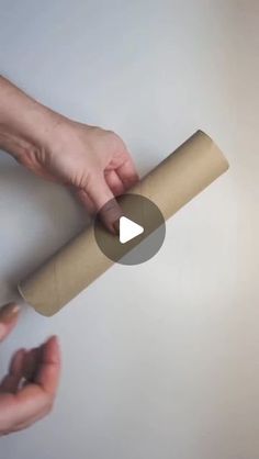 two hands holding a roll of toilet paper