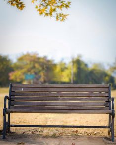 a wooden bench sitting in the middle of a park