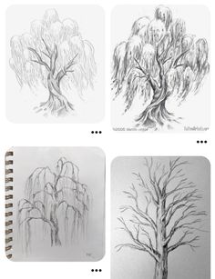 four different stages of drawing trees with pencils and paper on the bottom right hand corner