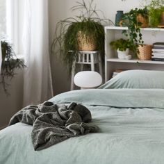 an unmade bed in a bedroom with plants on the wall and bookshelf behind it