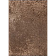 a brown area rug with black border