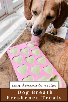 a dog sticking its tongue into a heart shaped ice tray