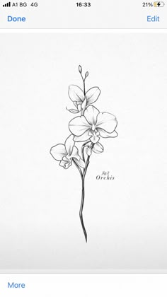 an image of a flower drawn in pencil on the app store's facebook page