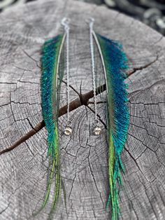 two blue and green feathers sitting on top of a piece of wood