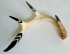 an animal's antler with black and white designs on it, against a white background