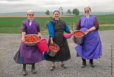 three women in purple dresses holding buckets of strawberries