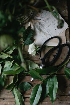 a pair of black scissors sitting on top of a wooden table next to green leaves