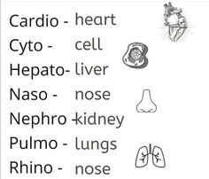 the words are written in black and white with pictures of lungs, heart, cyto - cell, hepato - liver, nose, nose, nose, nephro - kidney,