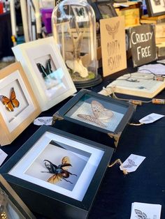 some framed pictures are sitting on a table with other items in front of them,