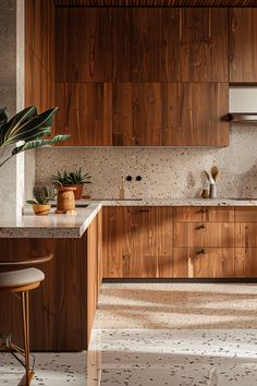 a kitchen with wooden cabinets and marble counter tops, potted plants on the island