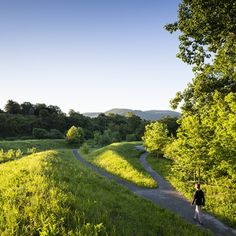 a person walking down a path in the middle of a lush green field with trees