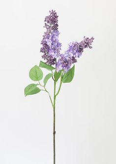 Fake Spring Flowers Lilac Stem in Purple at afloral Open Foyer, Flower Branches, Tulips Arrangement, Hydrangea Arrangements, Spring Tablescapes, Anemone Flower, Flower Stem, Tall Vase, Lilac Flowers