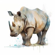 a watercolor painting of a rhinoceros