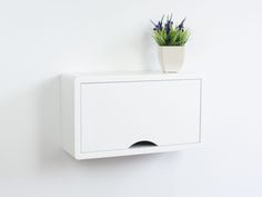 a white wall mounted cabinet with a potted plant on top