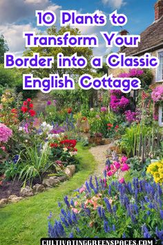 a garden with lots of flowers in it and the words 10 plants to transform your border into a classic english cottage