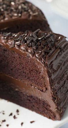 a piece of chocolate cake sitting on top of a white plate covered in frosting