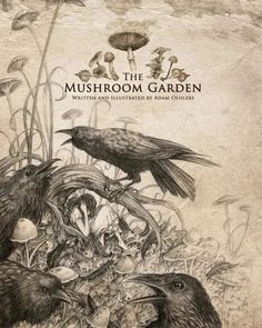 the mushroom garden written and illustrated by adam childer, with illustrations from children's books