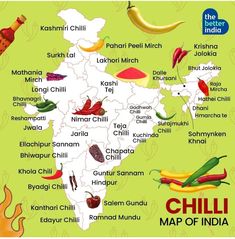 a map of india with chilis, peppers and other food items on the map