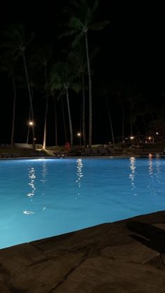 an empty swimming pool at night with palm trees