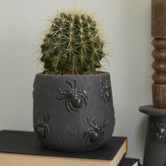 a cactus in a pot sitting on top of a stack of books