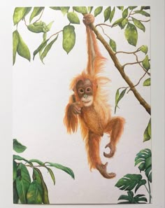 a painting of a monkey hanging from a tree branch with leaves on it's sides